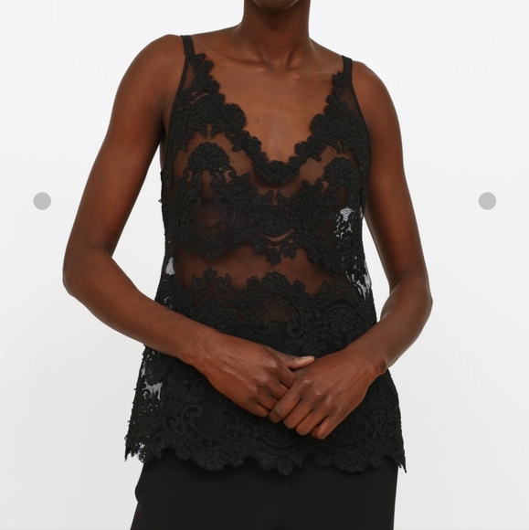 Babaton Tops - ARITZIA BABATON Navy Franck Sheer Lace Camisole Top